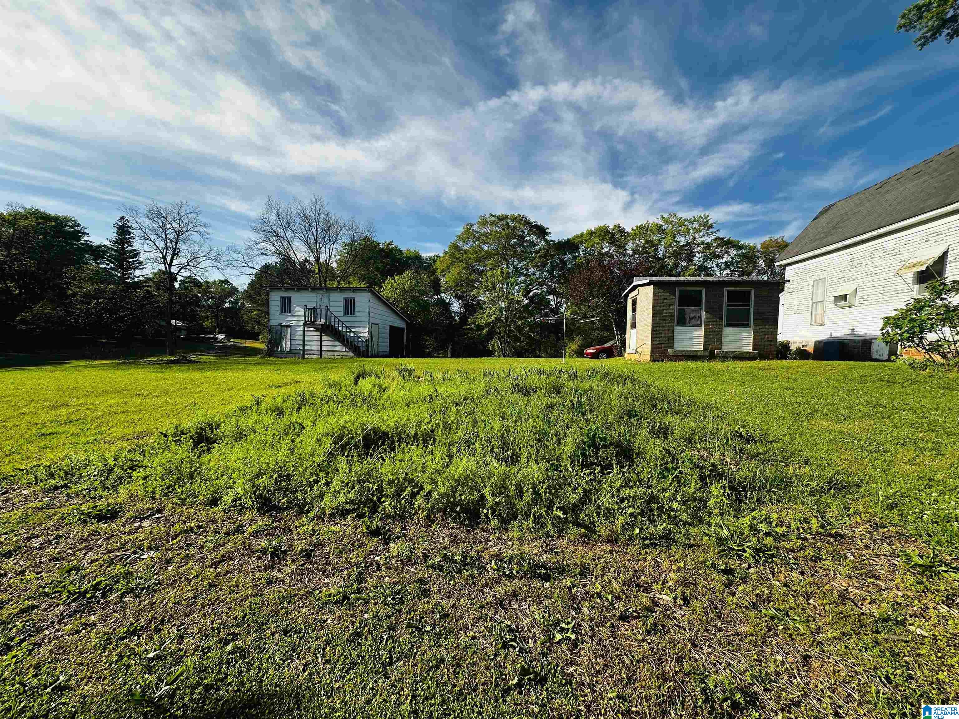 355 Knowles Avenue Lineville, AL 36266 - Photo 43 of 54