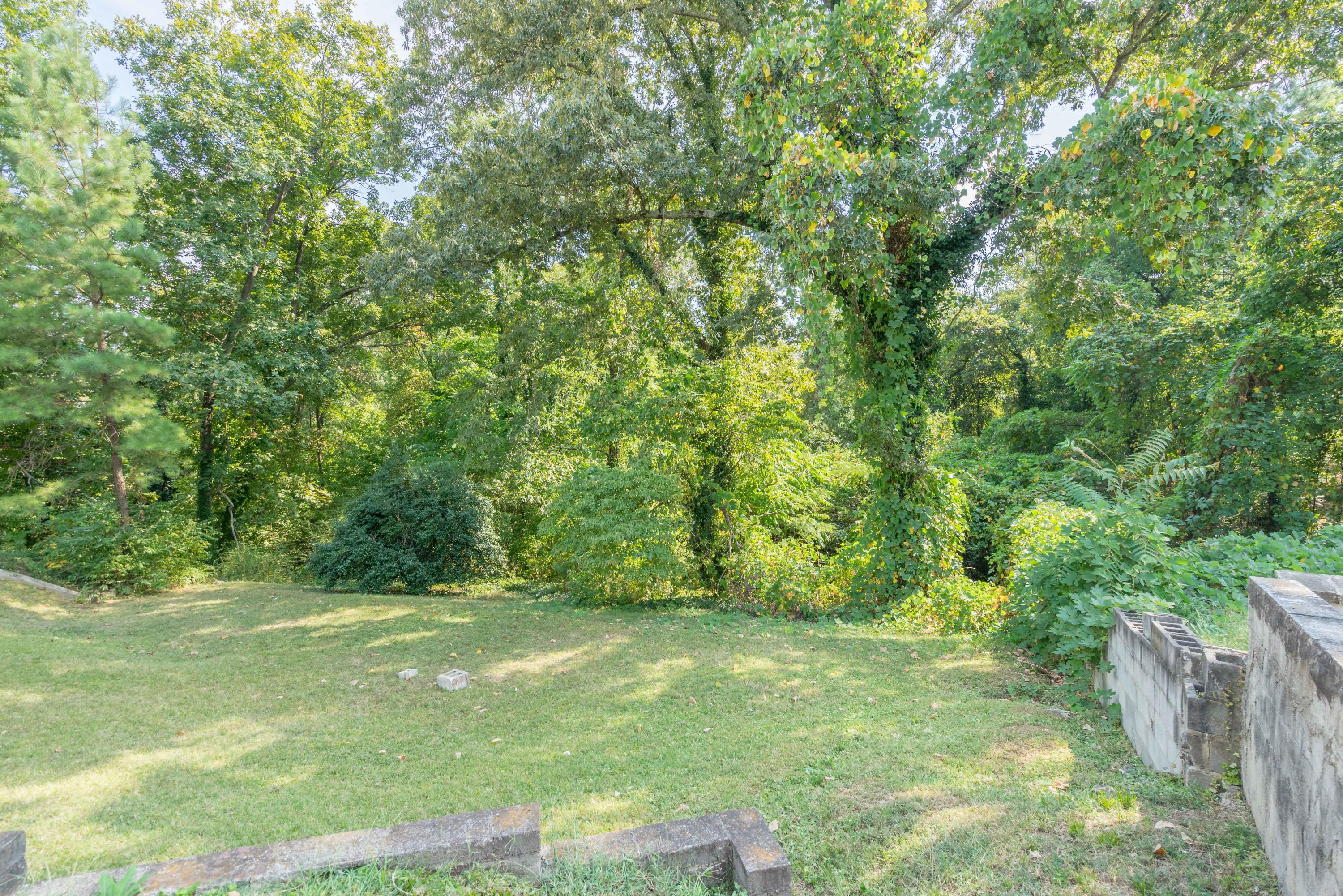 4008 Rogers Road Chattanooga, TN 37411 - Photo 28 of 35 Back Yard