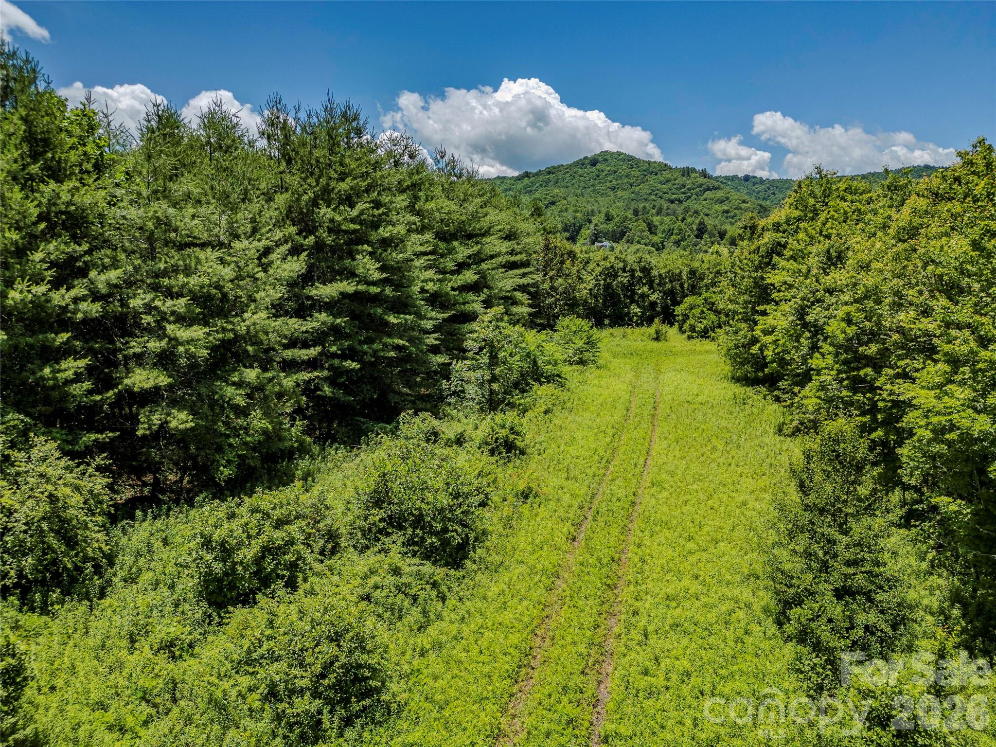 Tbd Canebrake Road Pisgah Forest, NC 28768 - Photo 26 of 43