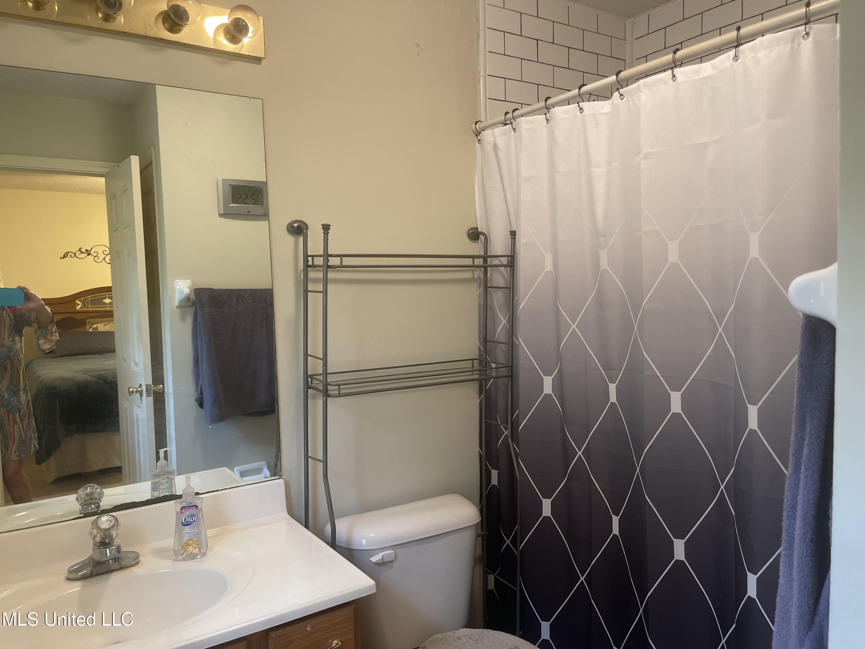 2562 Pleasant Hill Road Nesbit, MS 38651 - Photo 8 of 20 Primary bathroom