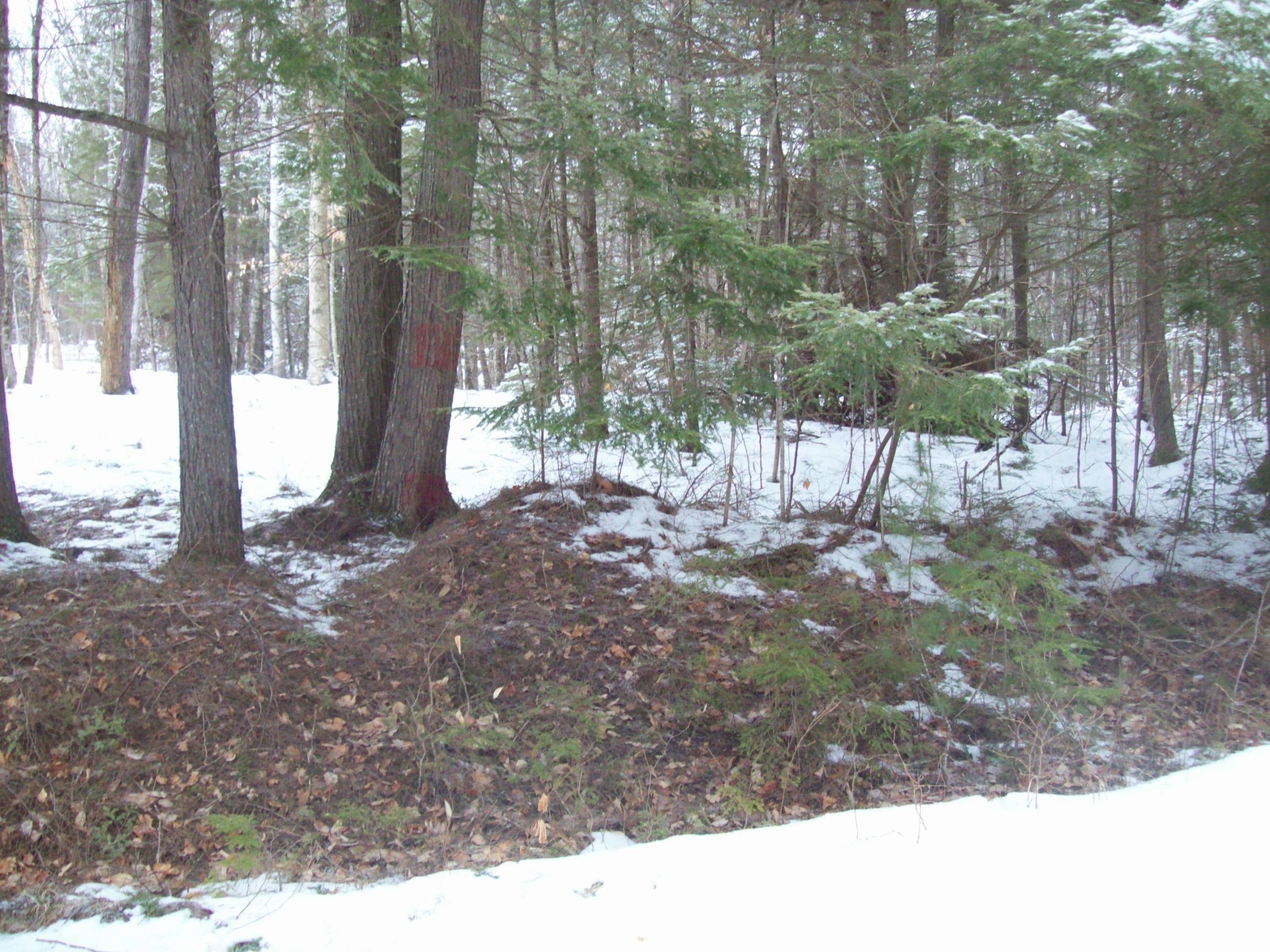 Tbd Go Devil Road Lincoln, ME 04457 - Photo 2 of 10 100_1587