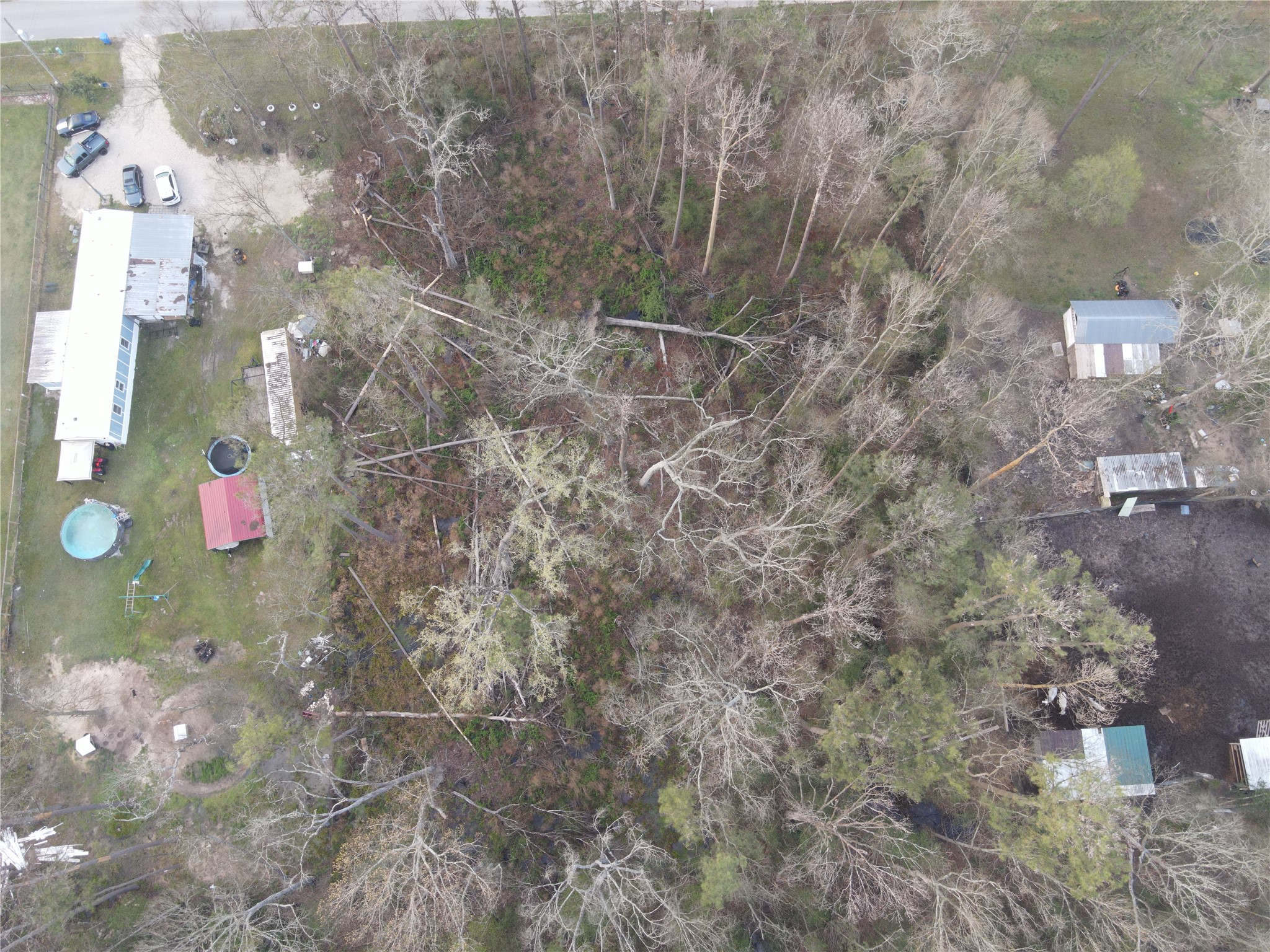 26889 Short Street Splendora, TX 77372 - Photo 5 of 6 a view of outdoor space and yard