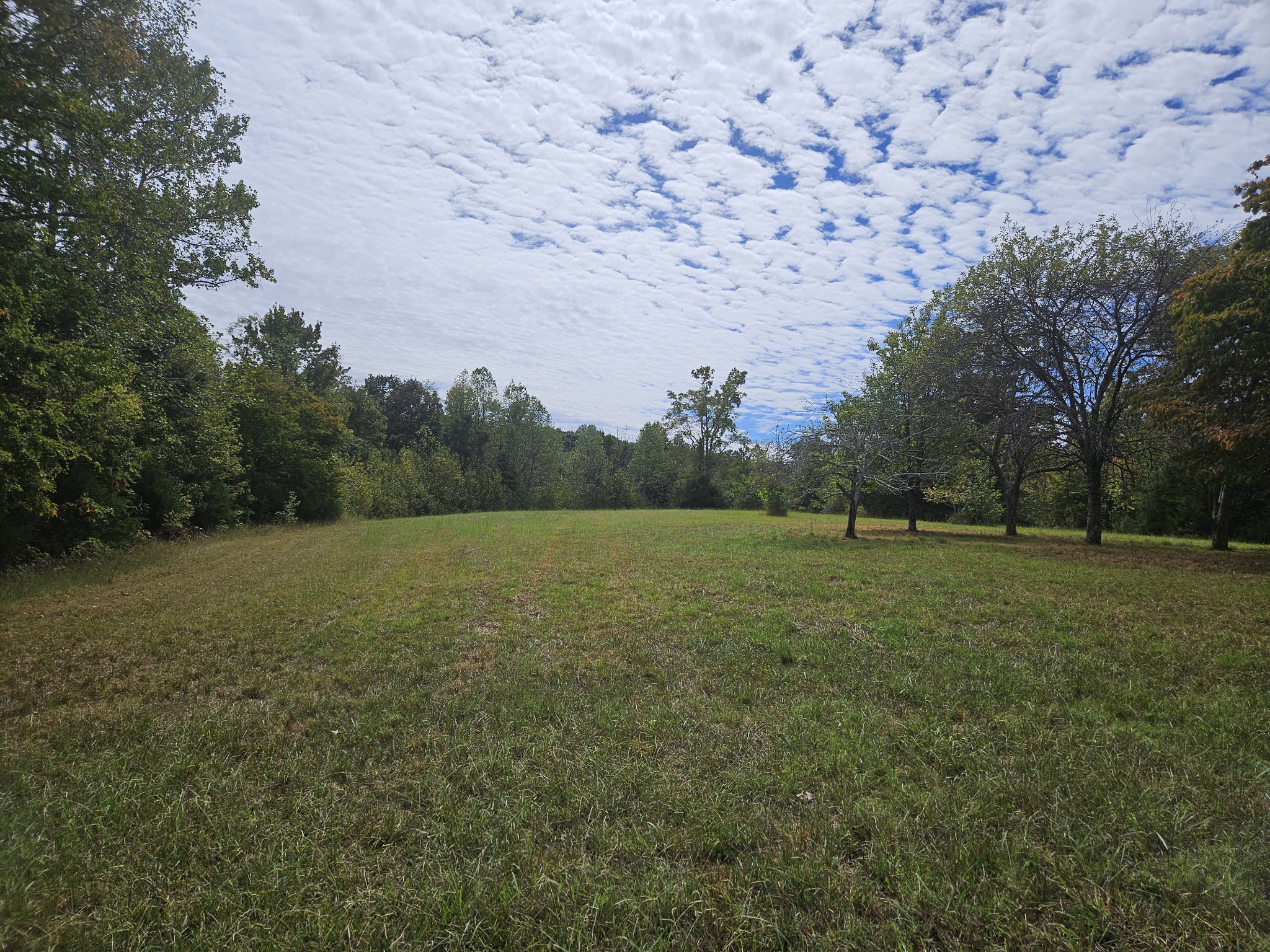420 Carroll Ridge Road Pulaski, TN 38478 - Photo 31 of 35 Gallery Image 31