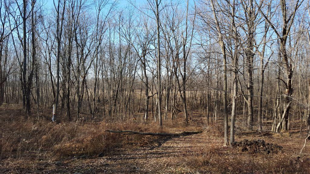 0 Greist Road Stoutsville, OH 43154 - Photo 10 of 12 Gallery Image 10