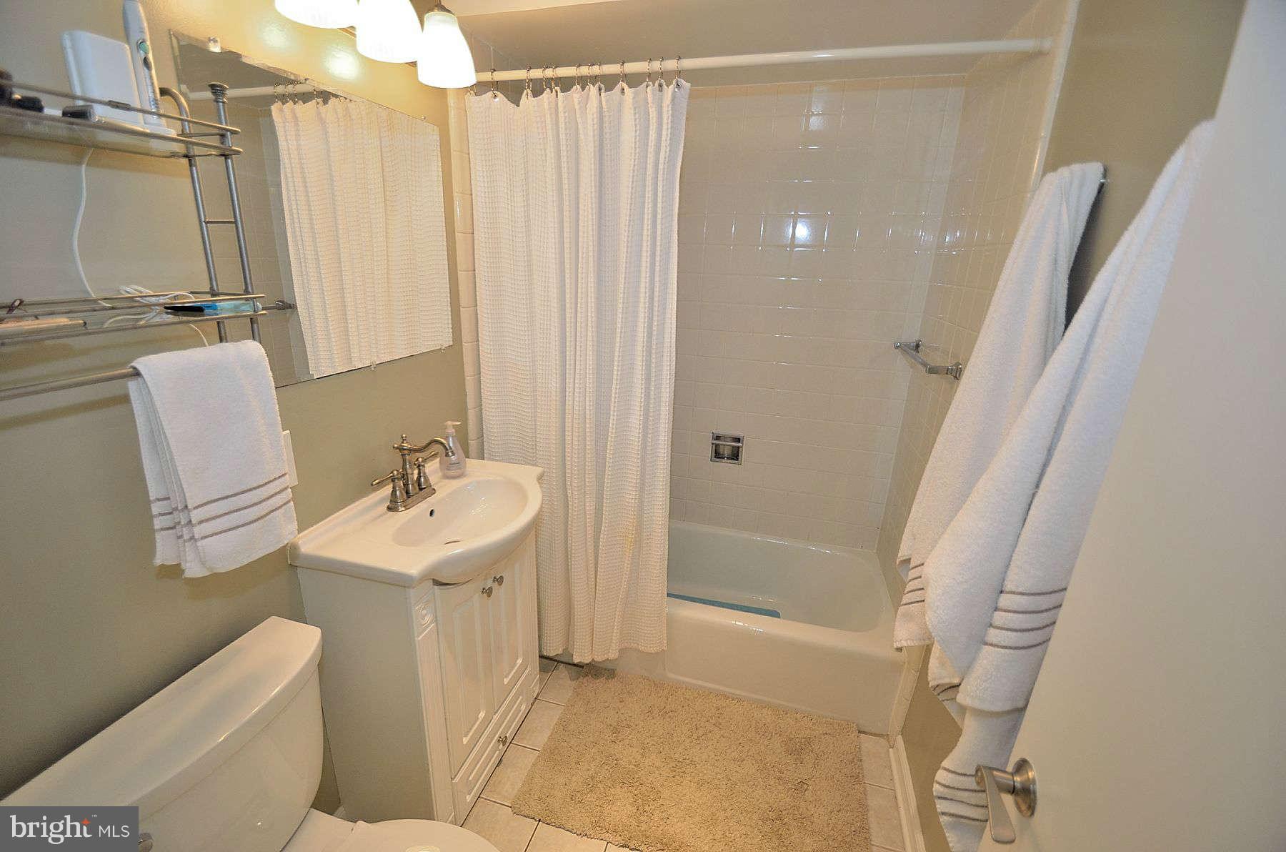 1628 Chimney House Road, Unit 1628 Reston, VA 20190 - Photo 13 of 13 a bathroom with a sink a toilet and shower