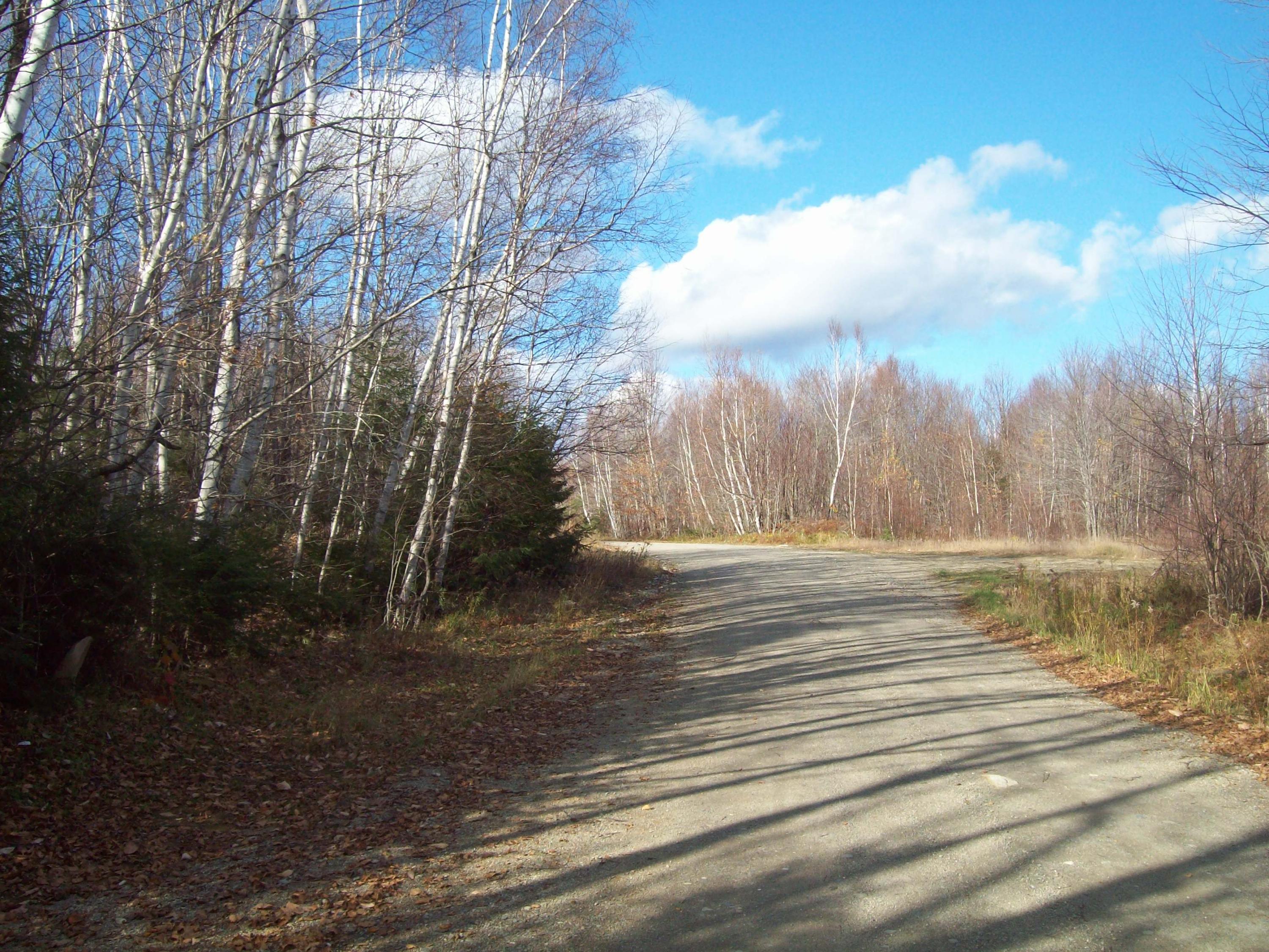 1310 Upper Dobsis Road Lakeville, ME 04487 - Photo 27 of 28 100_0603