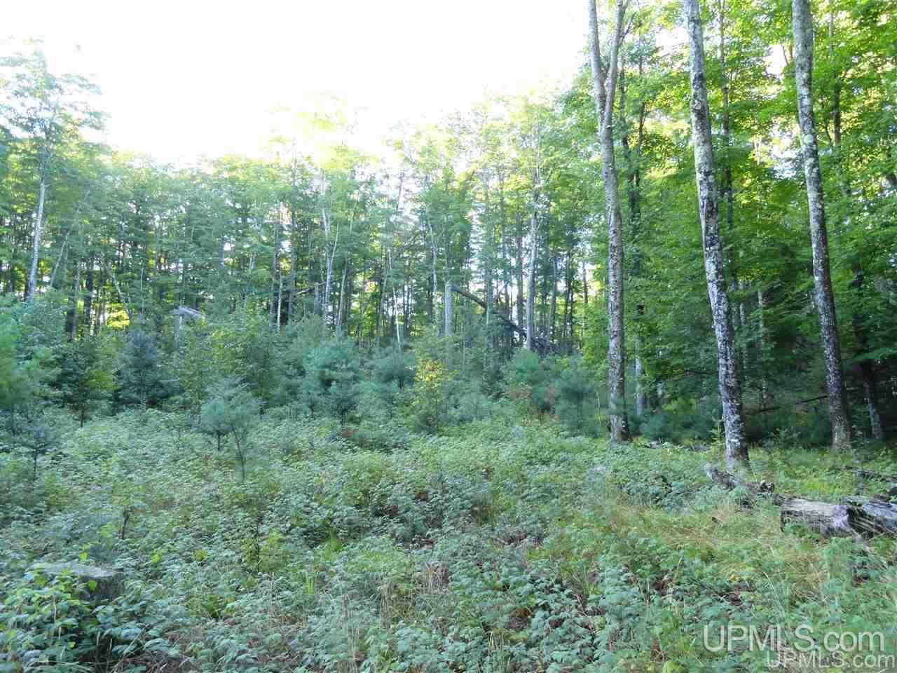 5-acres Co Rd Sa Cornell, MI 49818 - Photo 14 of 27