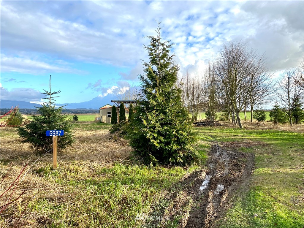 5987 Farm To Market Road Edison, WA 98232 - Photo 3 of 13 Gallery Image 3