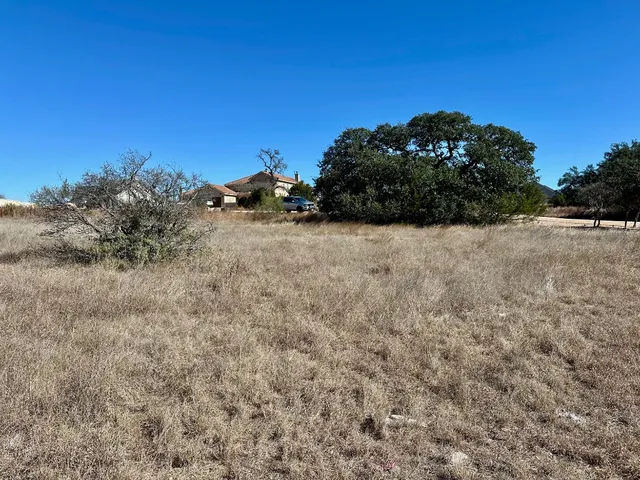 a view of a dry yard with trees