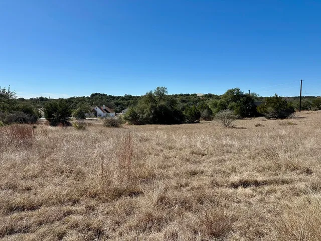 a view of a field with trees in the background