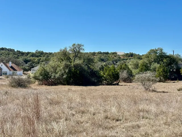 a view of a dry yard with trees in the background