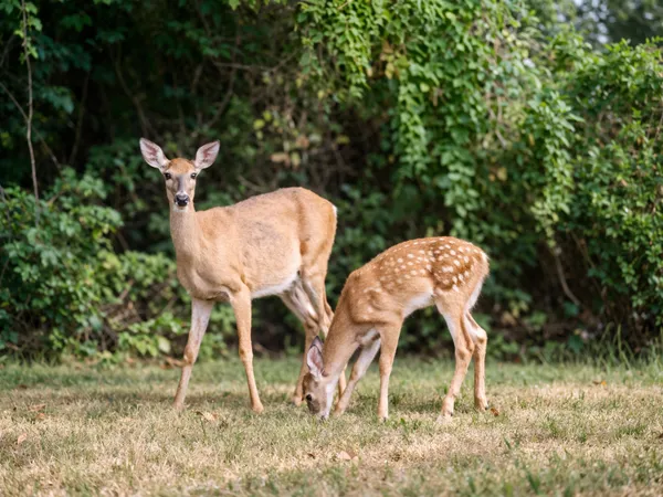 $850,000 | 25 Emerson Road, Durham, NH 03824