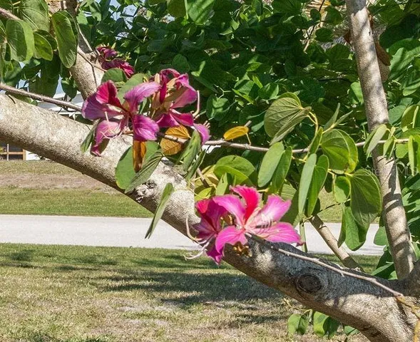 $138,000 | 6796 Gasparilla Pines Boulevard, Unit 45, Englewood, FL 34224