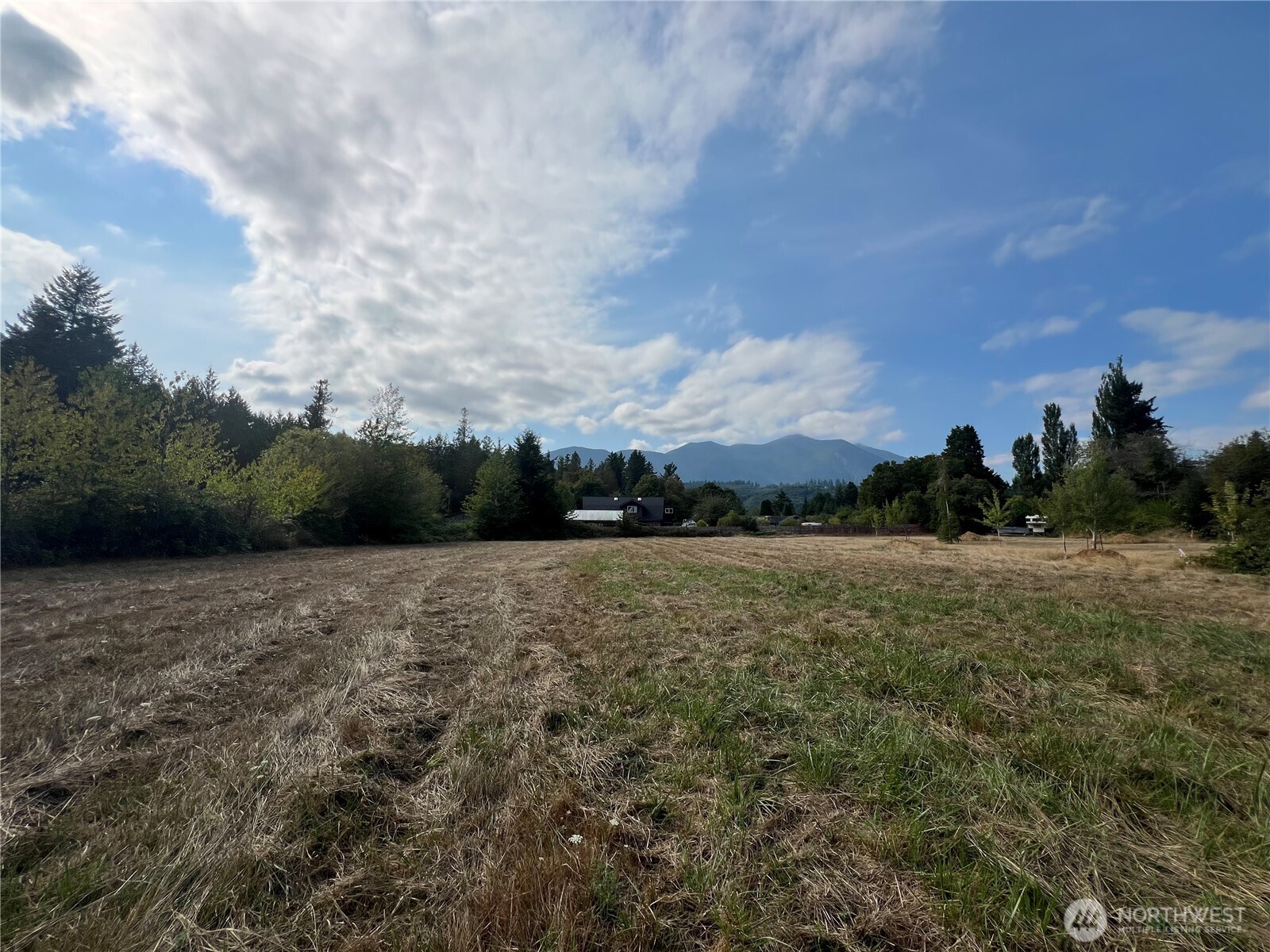 29438 Highway 101 Quilcene, WA 98376 - Photo 6 of 9 a view of a field with trees in background