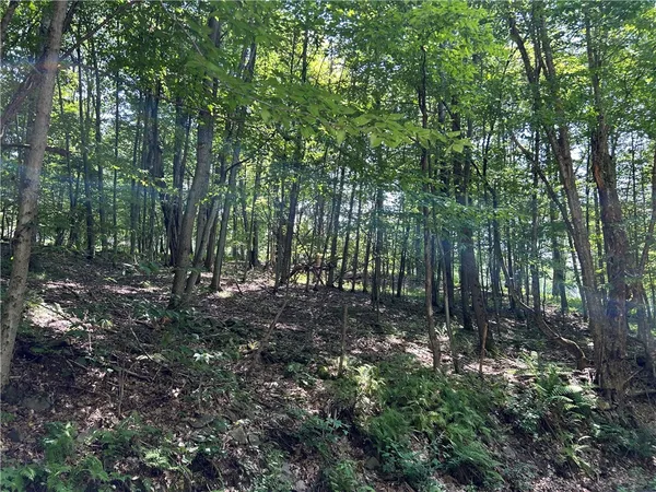$8,500 | Old Gladstone Hollow Road, Andes, NY 13731