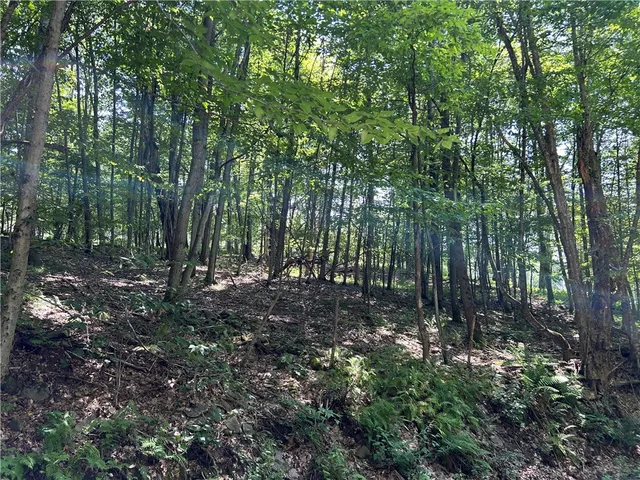 $10,000 | Old Gladstone Hollow Road, Andes, NY 13731