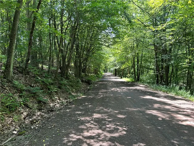 $10,000 | Old Gladstone Hollow Road, Andes, NY 13731
