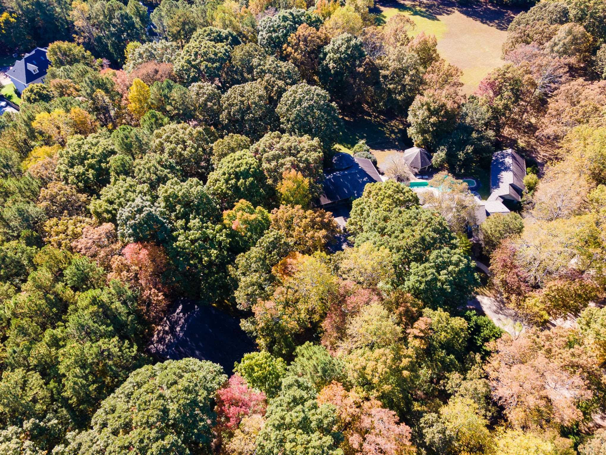 13427 Melvin Arnold Road Raleigh, NC 27613 - Photo 8 of 26 Photo 8