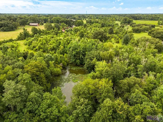 $900,000 | 10011 Greenwell Springs Port Hudson Road, Zachary, LA 70791