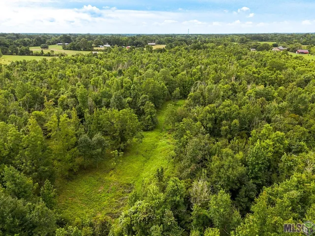 $900,000 | 10011 Greenwell Springs Port Hudson Road, Zachary, LA 70791