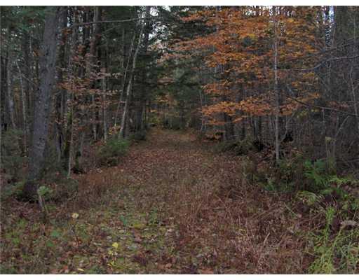 0 Valley Road North Anson, ME 04958 - Photo 12 of 12 Land.