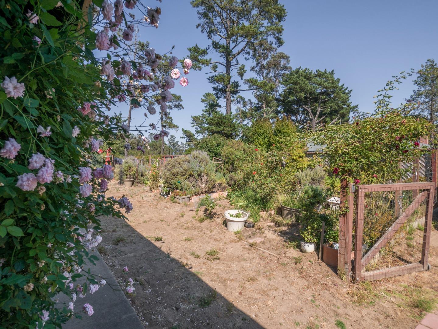 770 Calabasas Road Watsonville, CA 95076 - Photo 3 of 39 a view of a backyard of the house