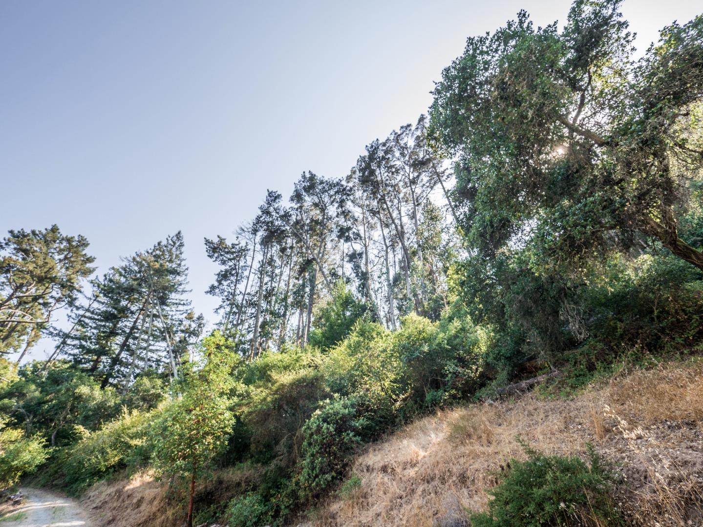 770 Calabasas Road Watsonville, CA 95076 - Photo 33 of 39