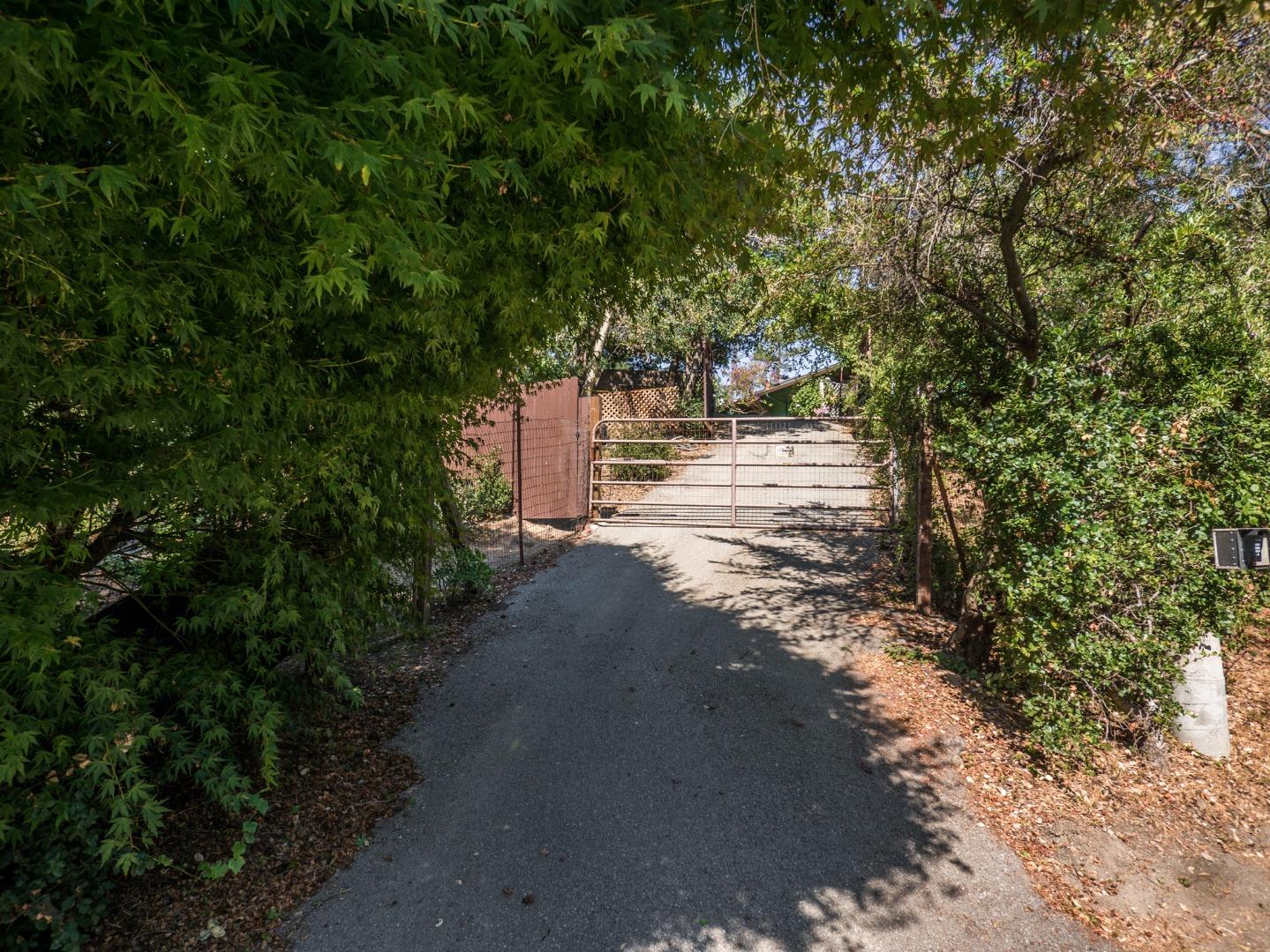 770 Calabasas Road Watsonville, CA 95076 - Photo 36 of 39 a view of a road with plants and large trees