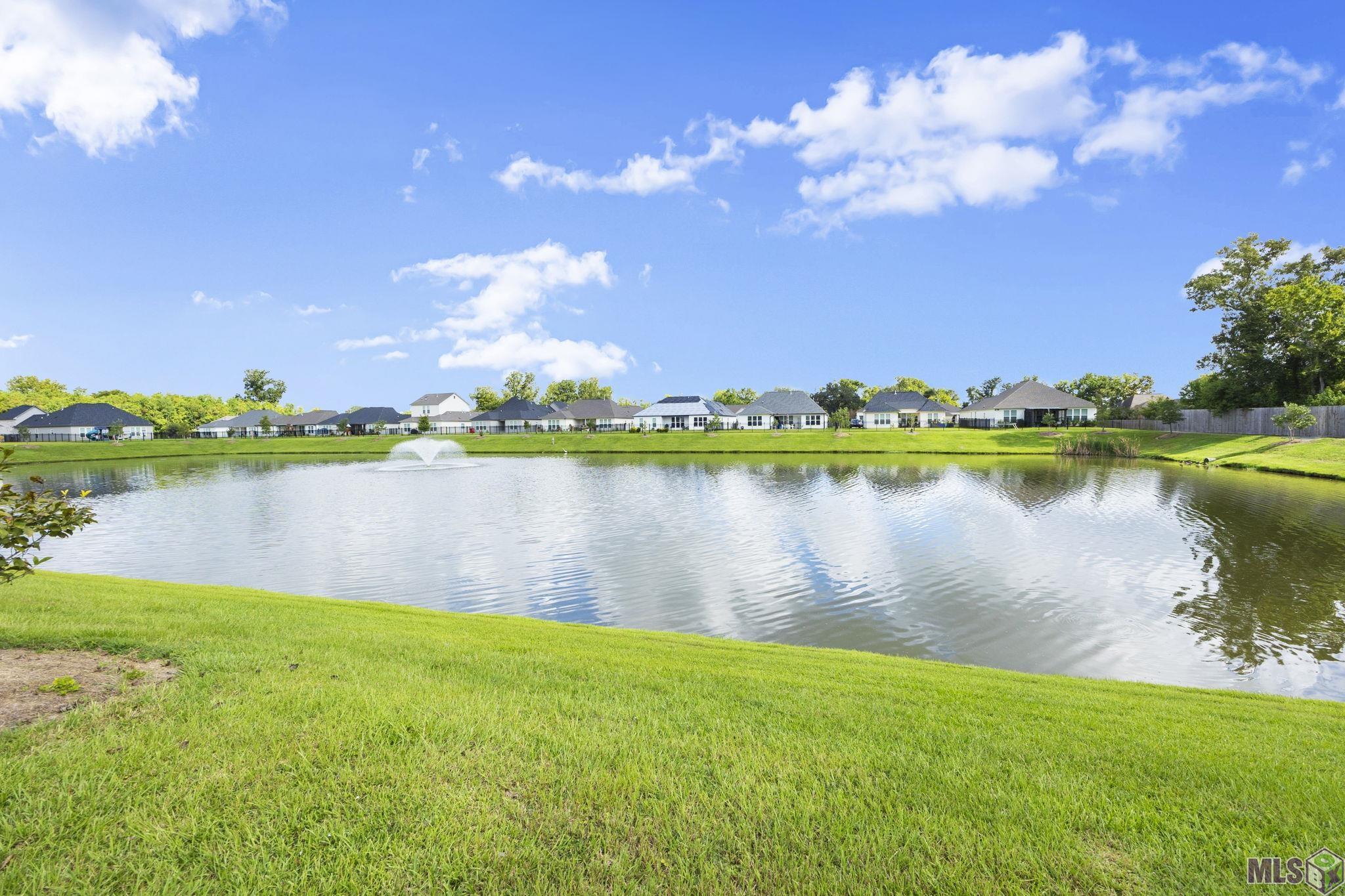 39262 Bridge Path Lane Gonzales, LA 70737 - Photo 28 of 29