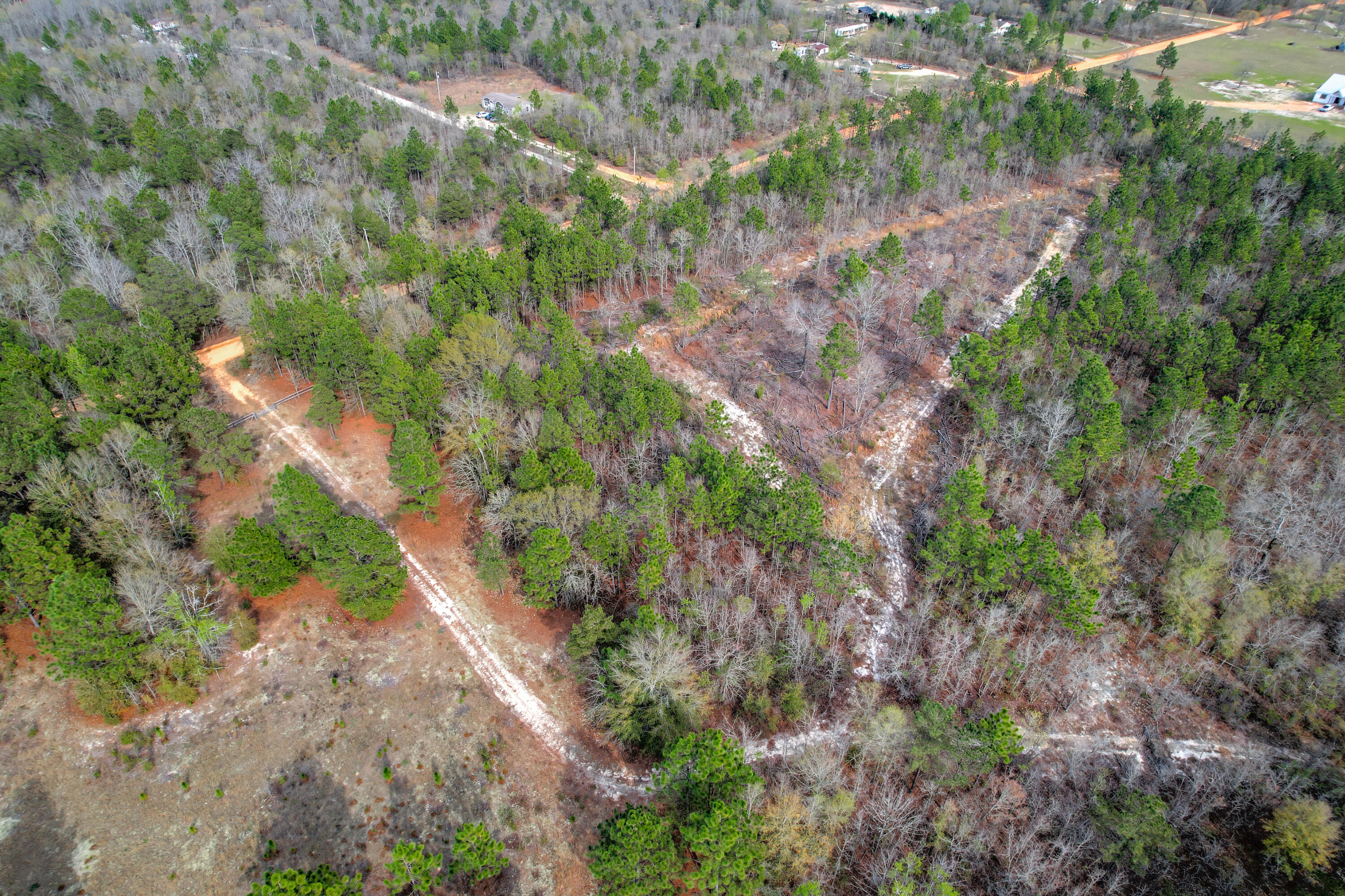 11-acres North 11-acres N Windsor Road Windsor, SC 29856 - Photo 15 of 16