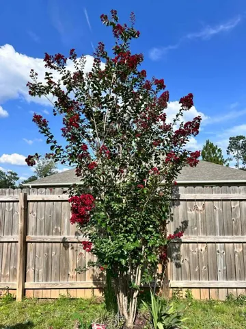 $447,900 | 3041 Crown Creek Circle, Crestview, FL 32539