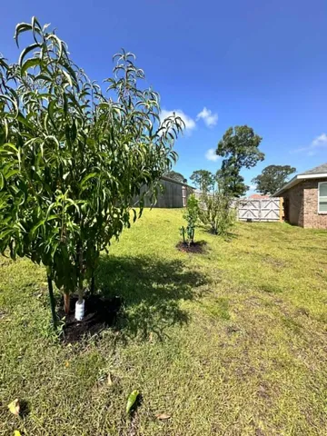 $447,900 | 3041 Crown Creek Circle, Crestview, FL 32539