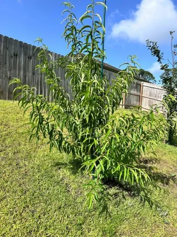 $447,900 | 3041 Crown Creek Circle, Crestview, FL 32539