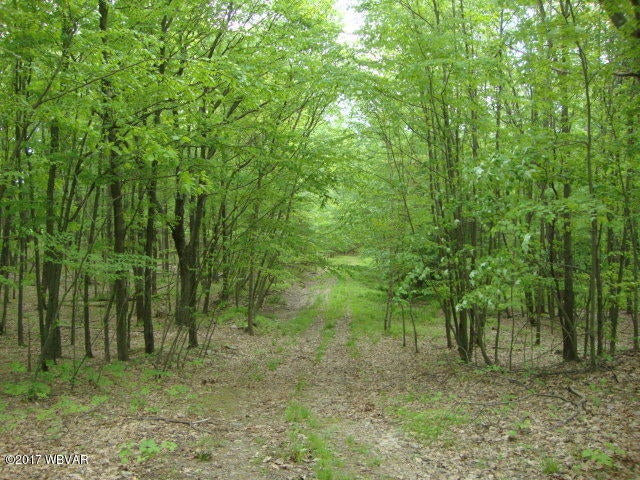 97 Mitchell Road Benton, PA 17814 - Photo 12 of 23 Trail