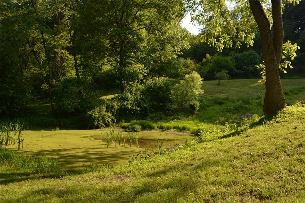 Pond