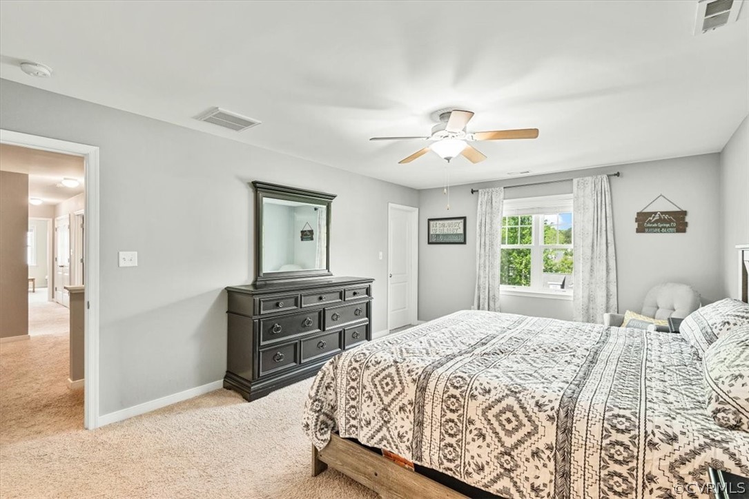 11827 Rimswell Turn Midlothian, VA 23112 - Photo 21 of 43 Gallery Image 21