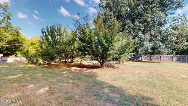 a view of a yard with a tree
