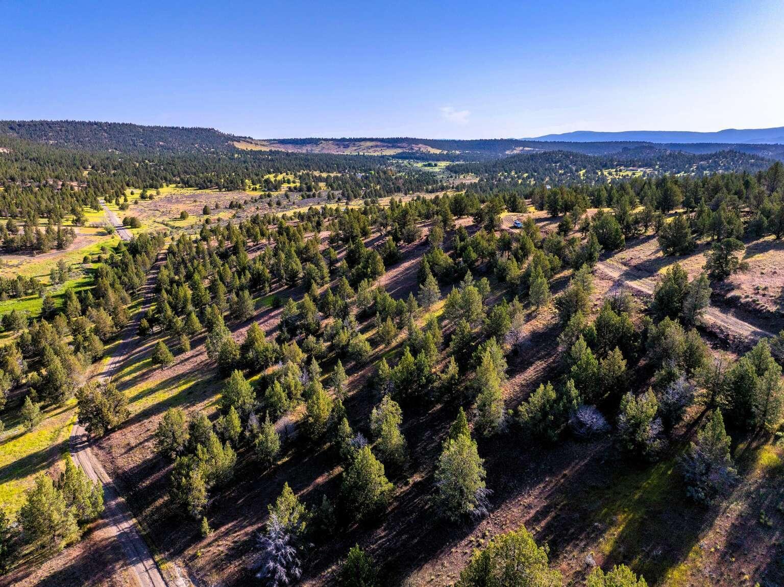 737 Raccoon Lane Alturas, CA 96101 - Photo 12 of 16 Dingman.12