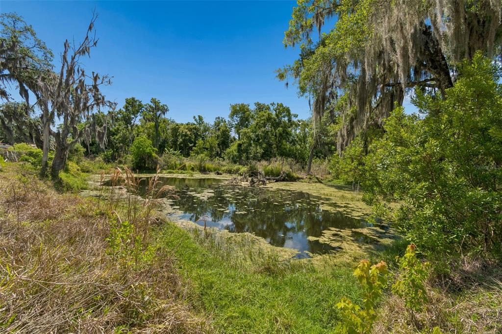 212 Crystal Lake Road Lutz, FL 33548 - Photo 17 of 25