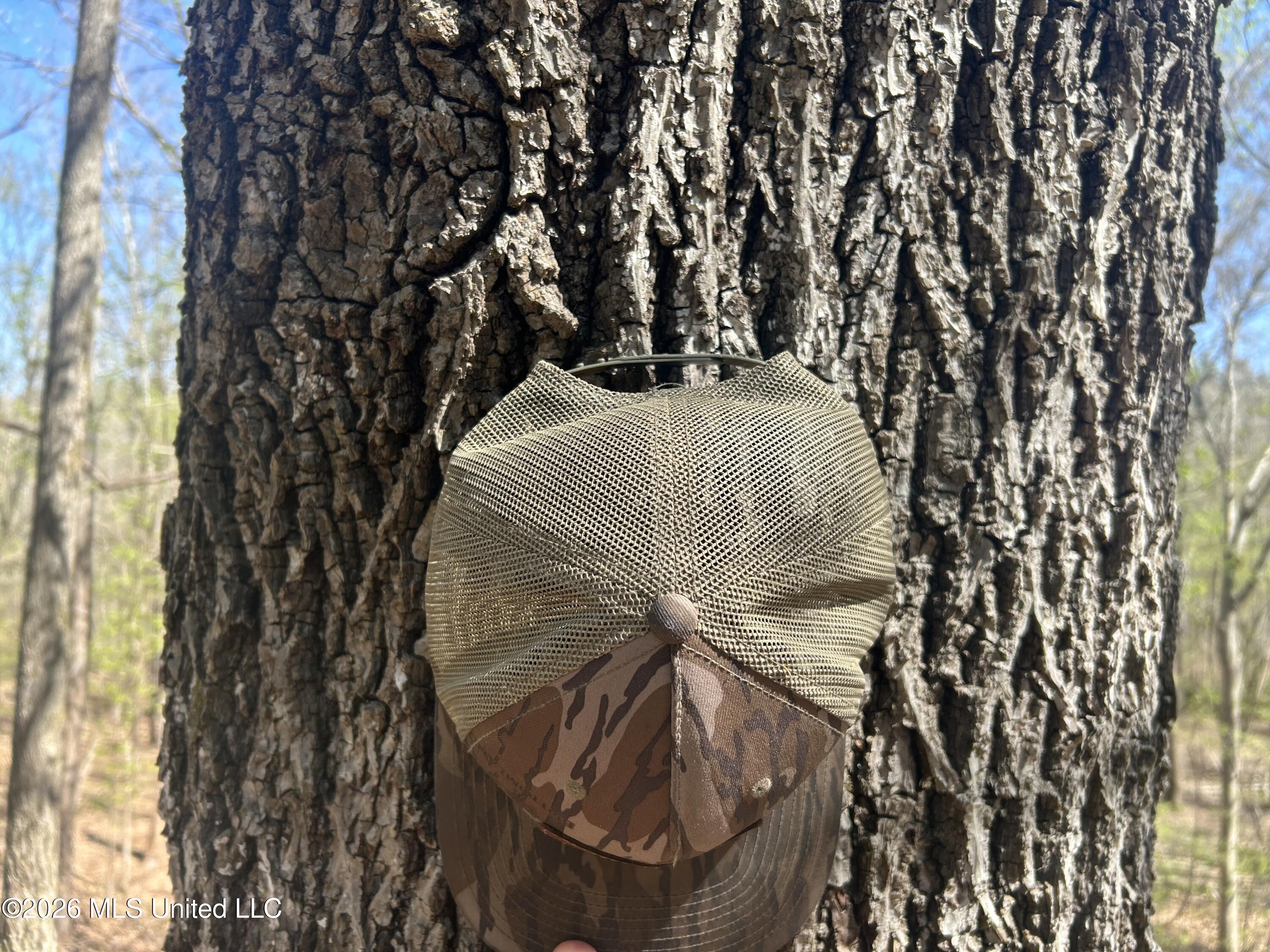 41 Mississippi Pontotoc, MS 38863 - Photo 11 of 47 Photo Mar 23 2026, 11 34 29 AM