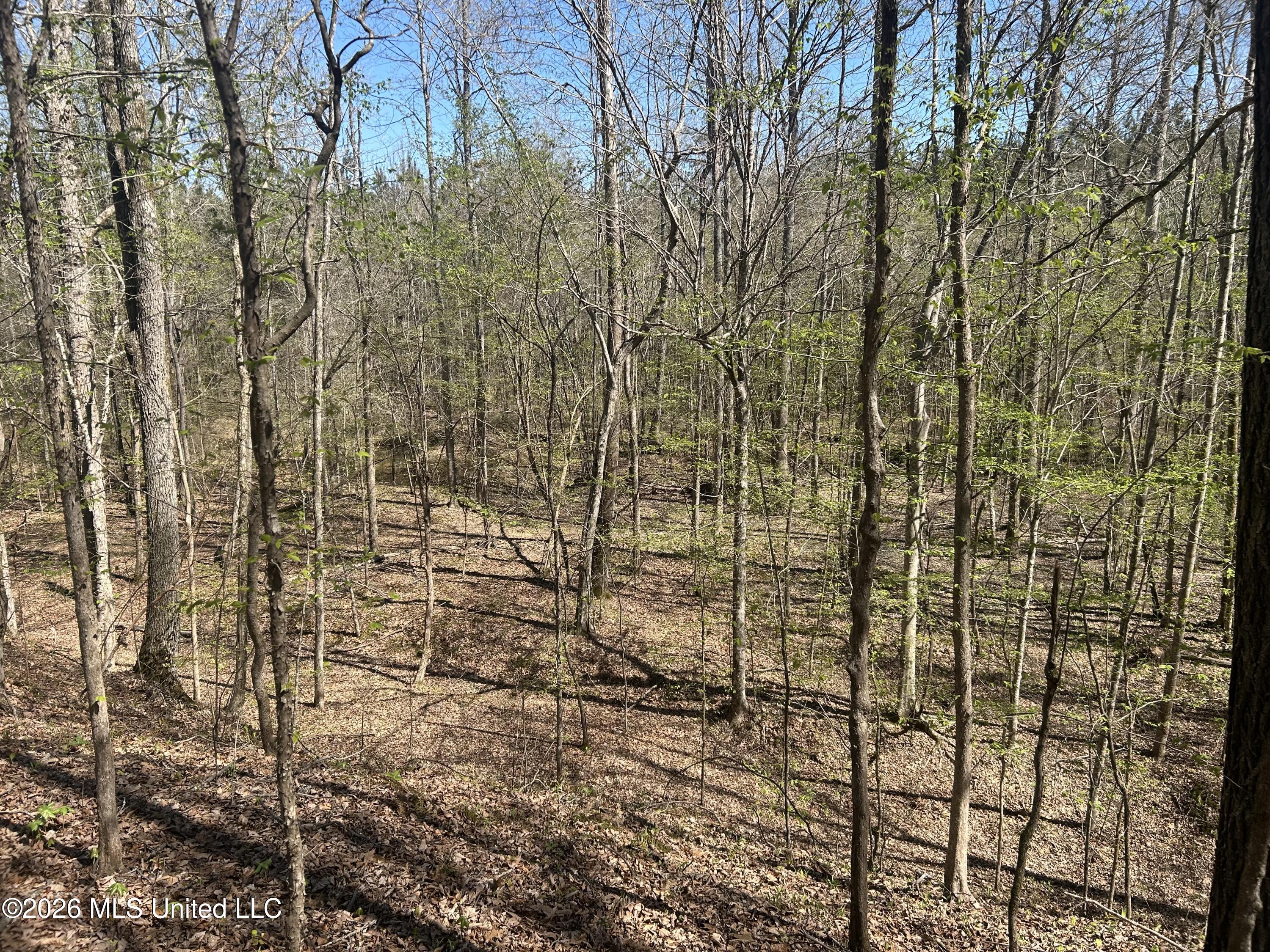 41 Mississippi Pontotoc, MS 38863 - Photo 12 of 47 Photo Mar 23 2026, 11 34 36 AM