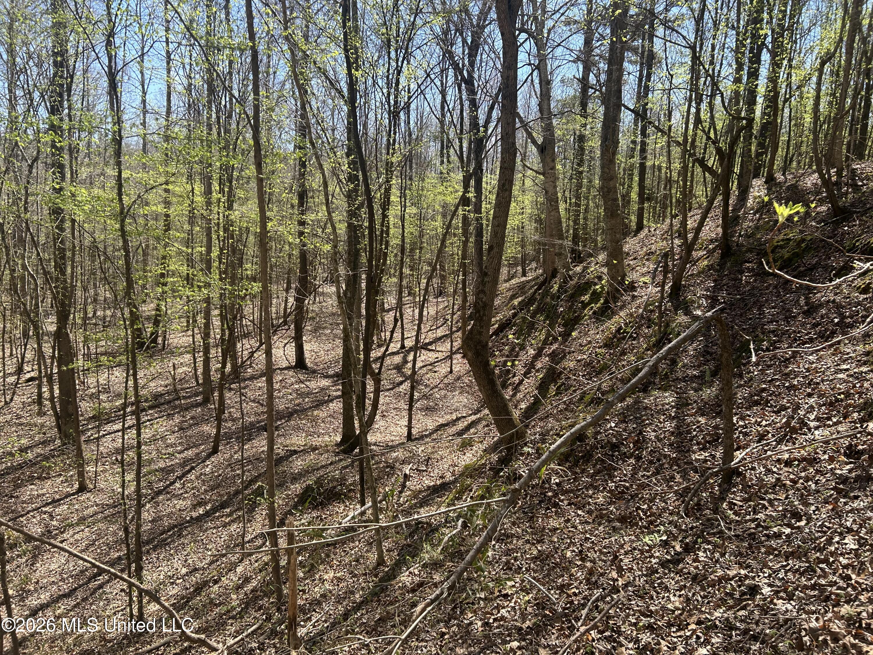 41 Mississippi Pontotoc, MS 38863 - Photo 13 of 47 Photo Mar 23 2026, 11 34 45 AM