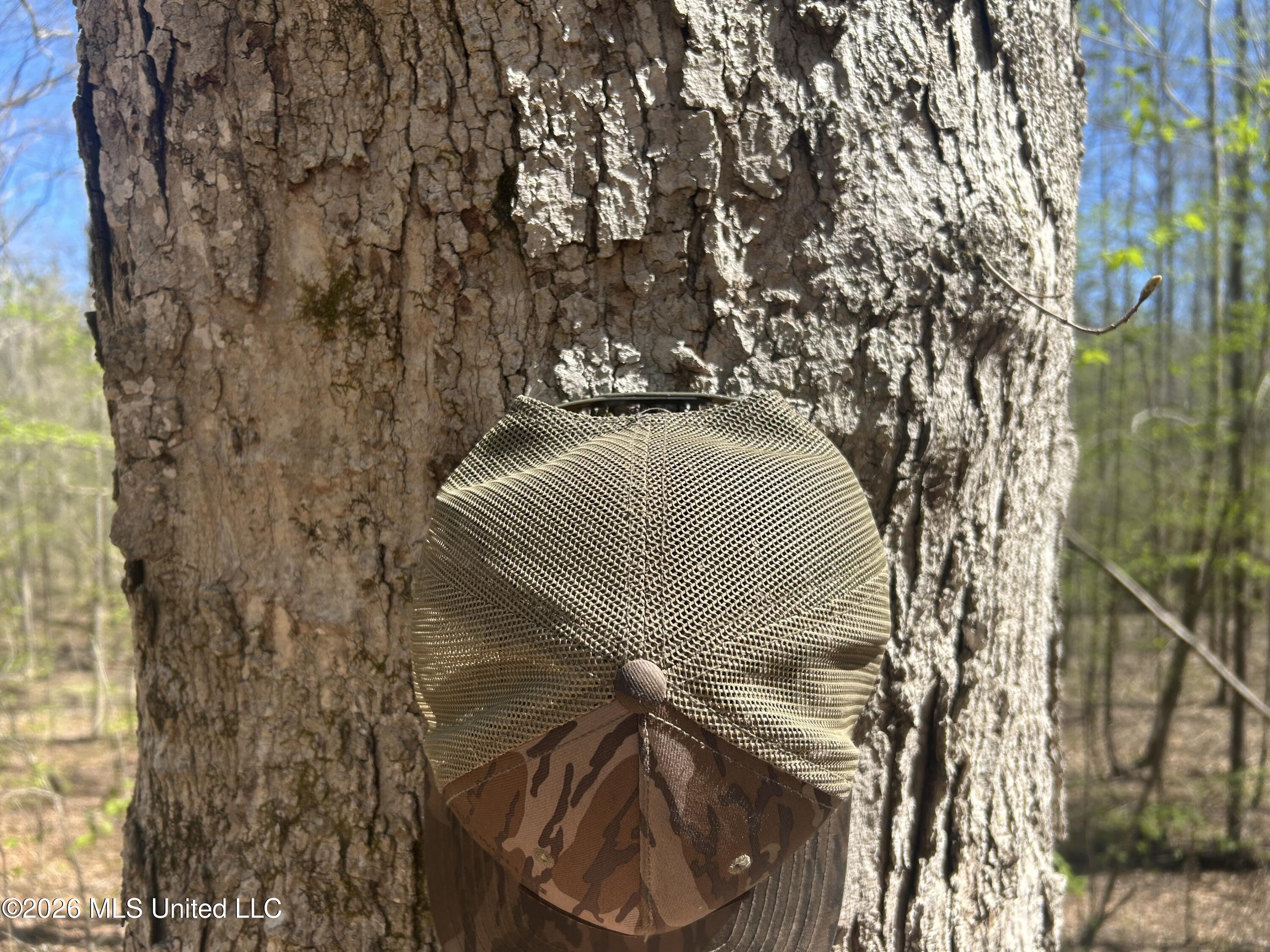 41 Mississippi Pontotoc, MS 38863 - Photo 14 of 47 Photo Mar 23 2026, 11 34 50 AM