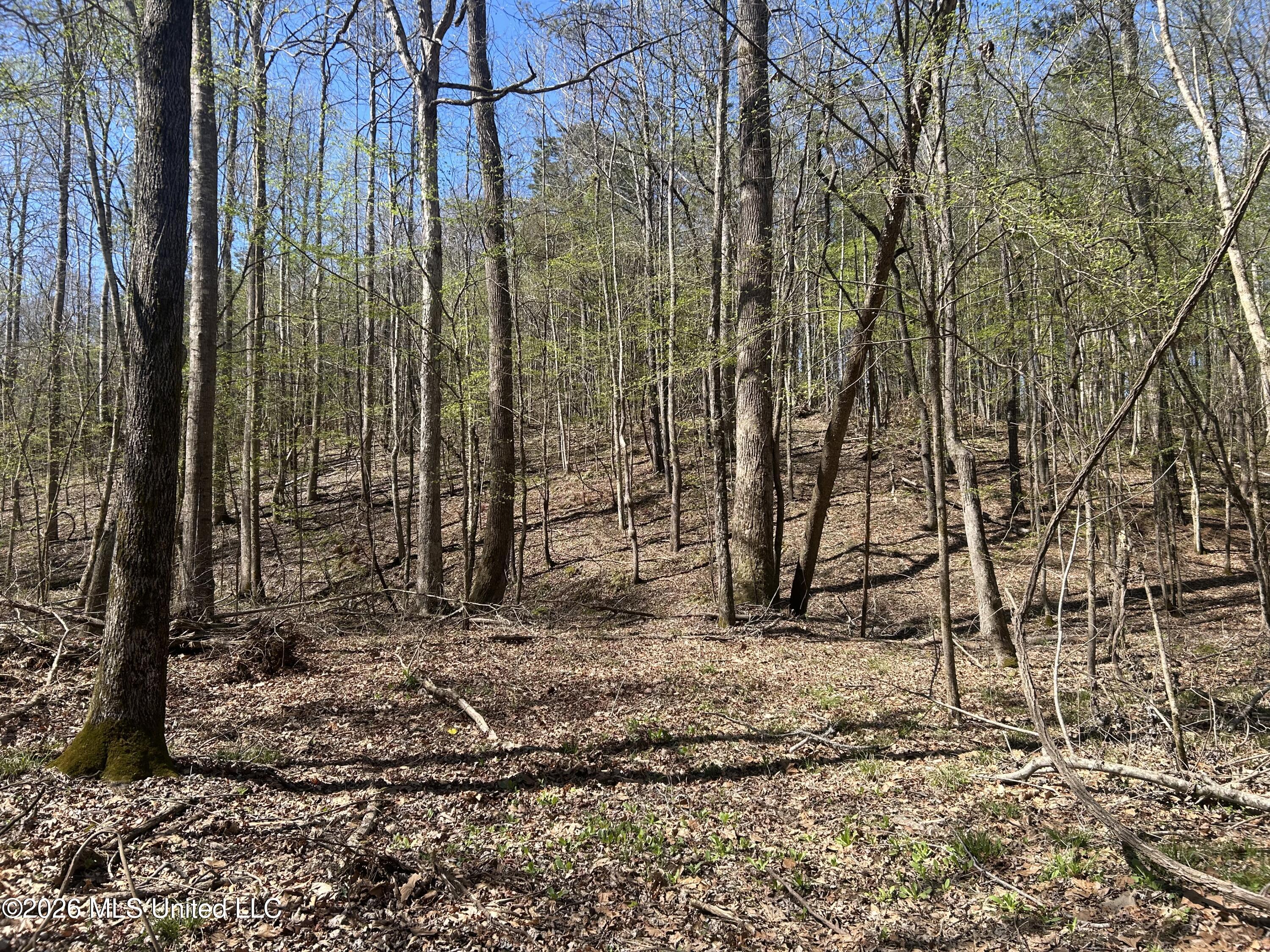 41 Mississippi Pontotoc, MS 38863 - Photo 15 of 47 Photo Mar 23 2026, 11 36 43 AM