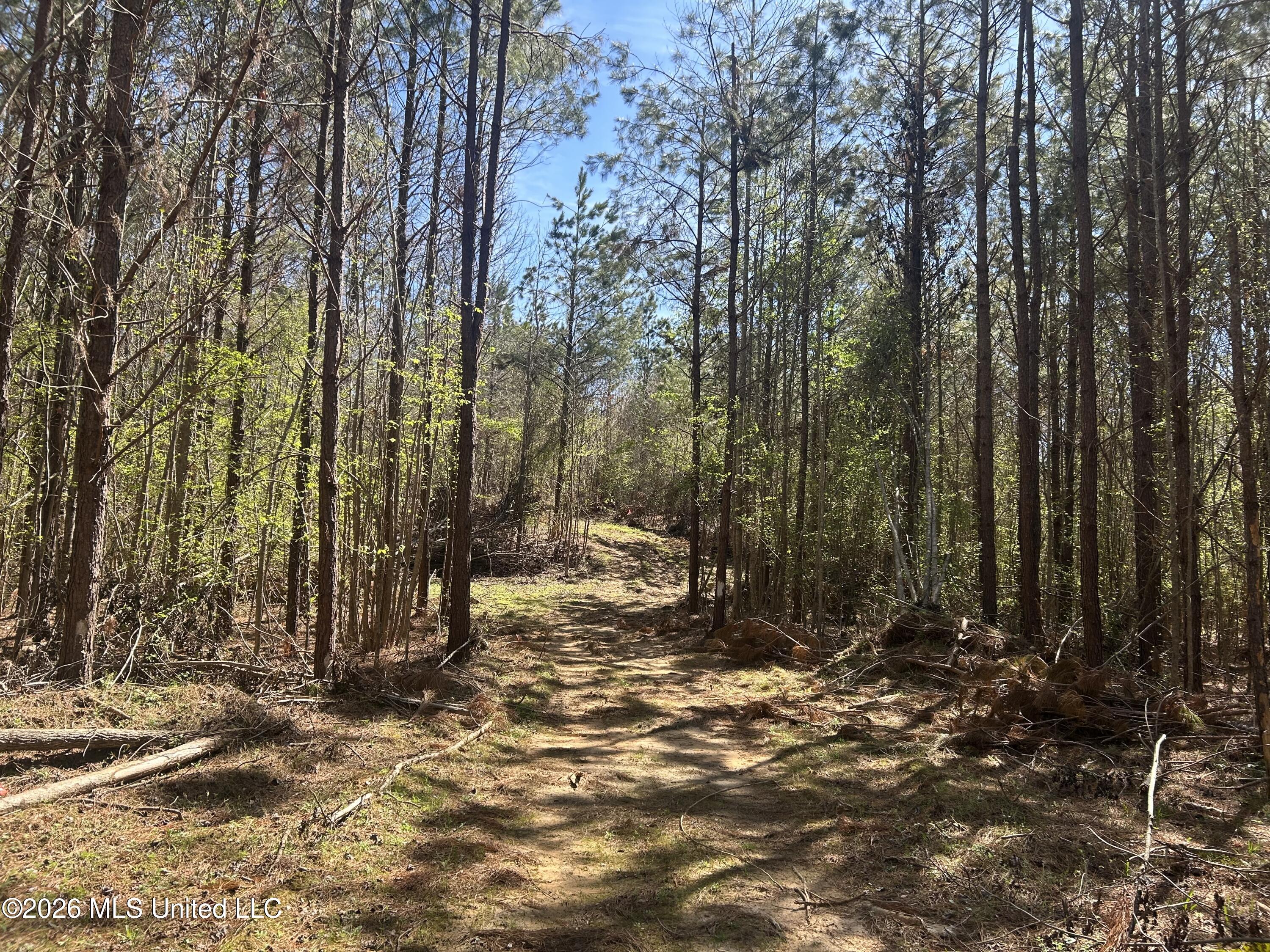 41 Mississippi Pontotoc, MS 38863 - Photo 16 of 47 Photo Mar 23 2026, 11 37 33 AM