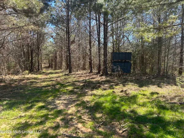 $229,900 | 41 Mississippi, Pontotoc, MS 38863