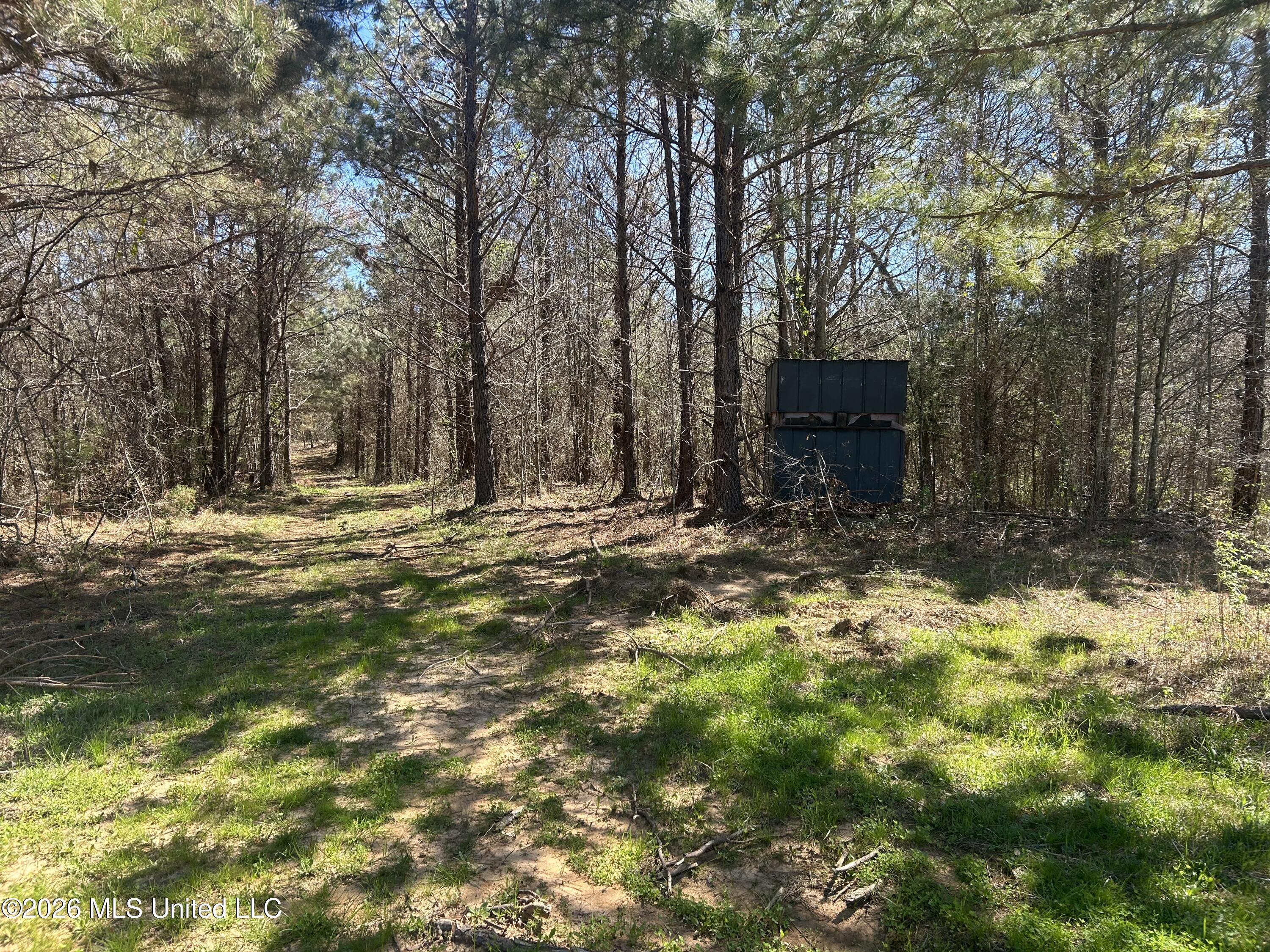 41 Mississippi Pontotoc, MS 38863 - Photo 17 of 47 Photo Mar 23 2026, 11 42 18 AM