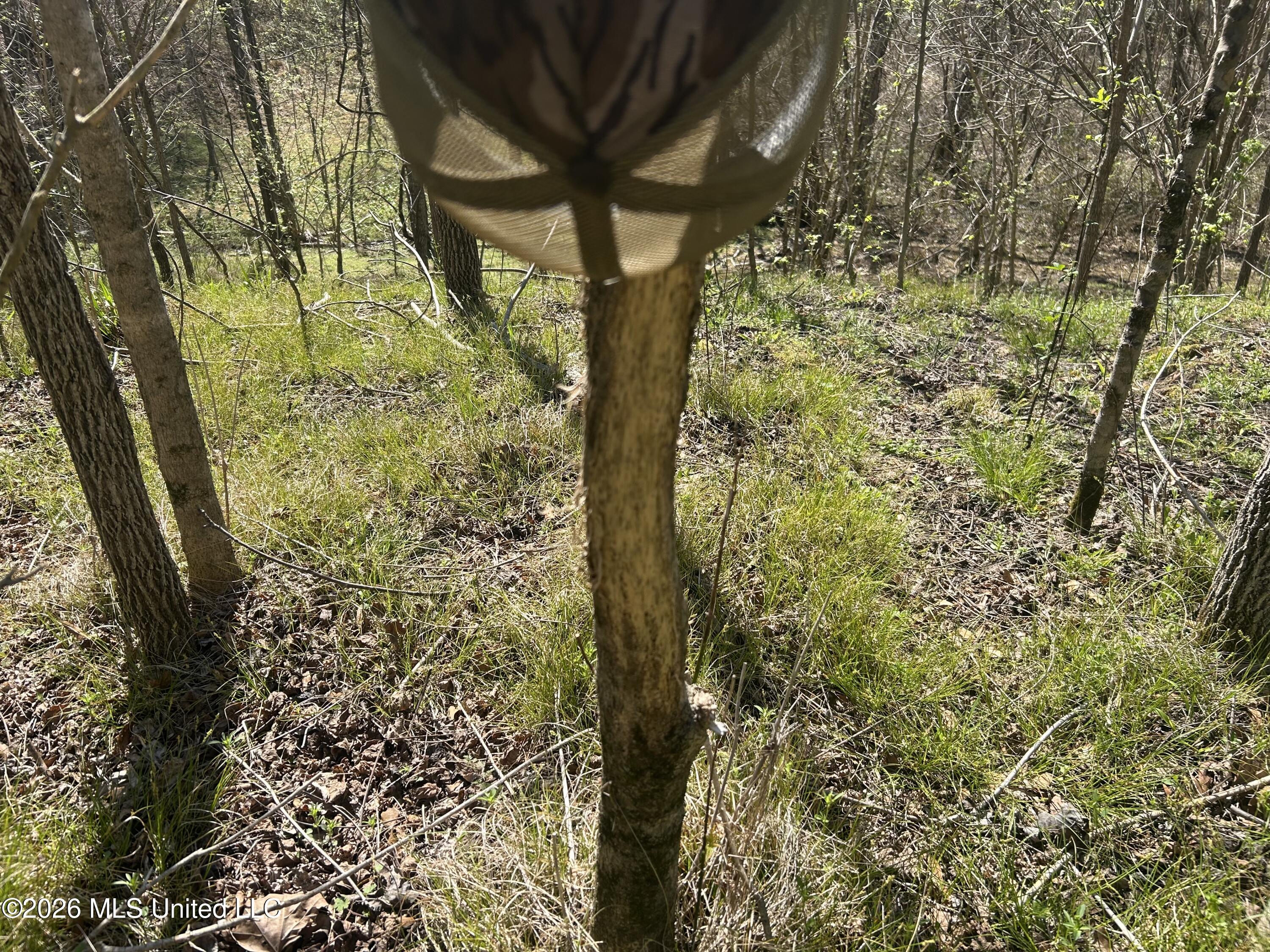 41 Mississippi Pontotoc, MS 38863 - Photo 18 of 47 Photo Mar 23 2026, 11 45 49 AM