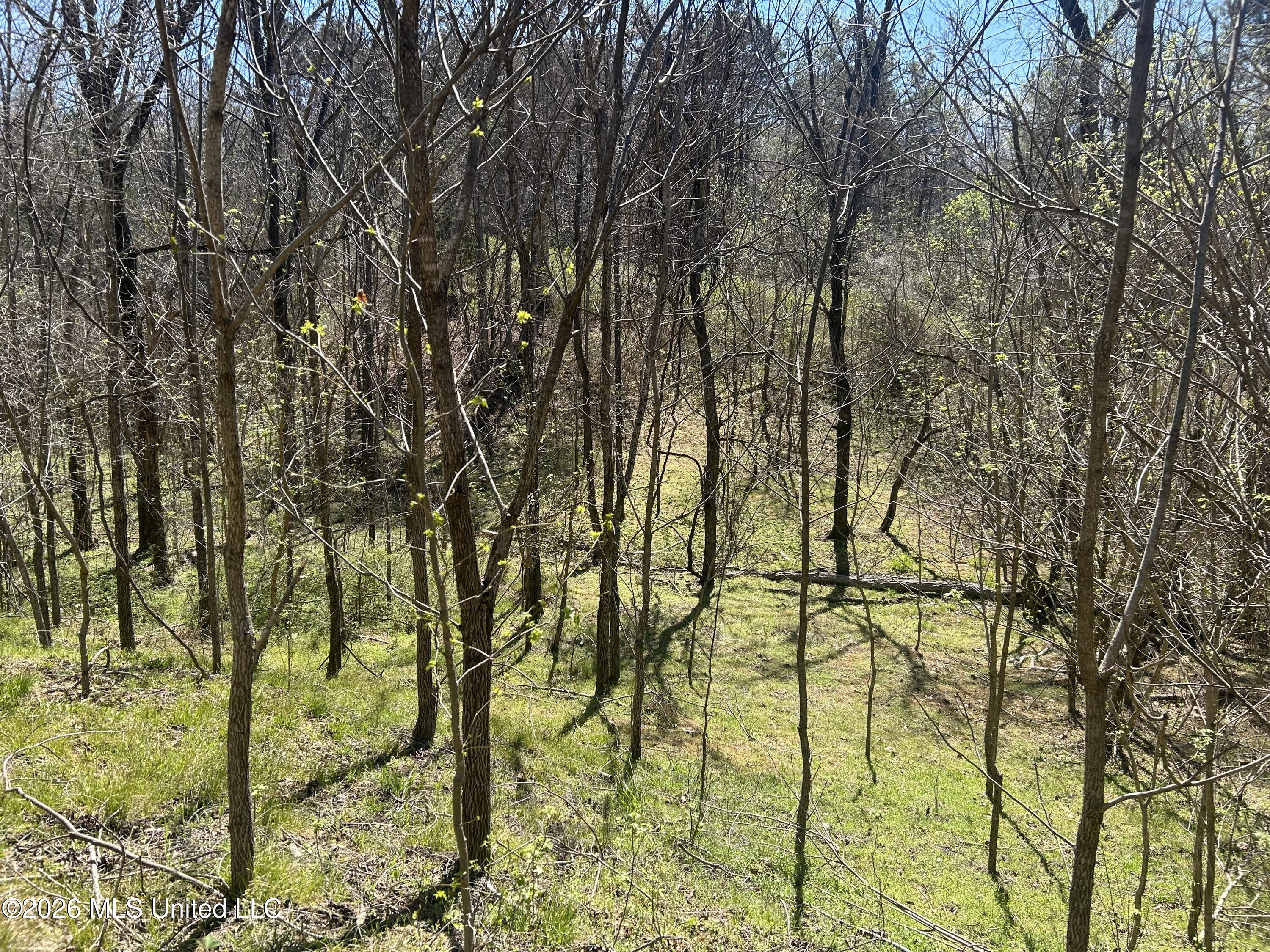 41 Mississippi Pontotoc, MS 38863 - Photo 19 of 47 Photo Mar 23 2026, 11 46 06 AM