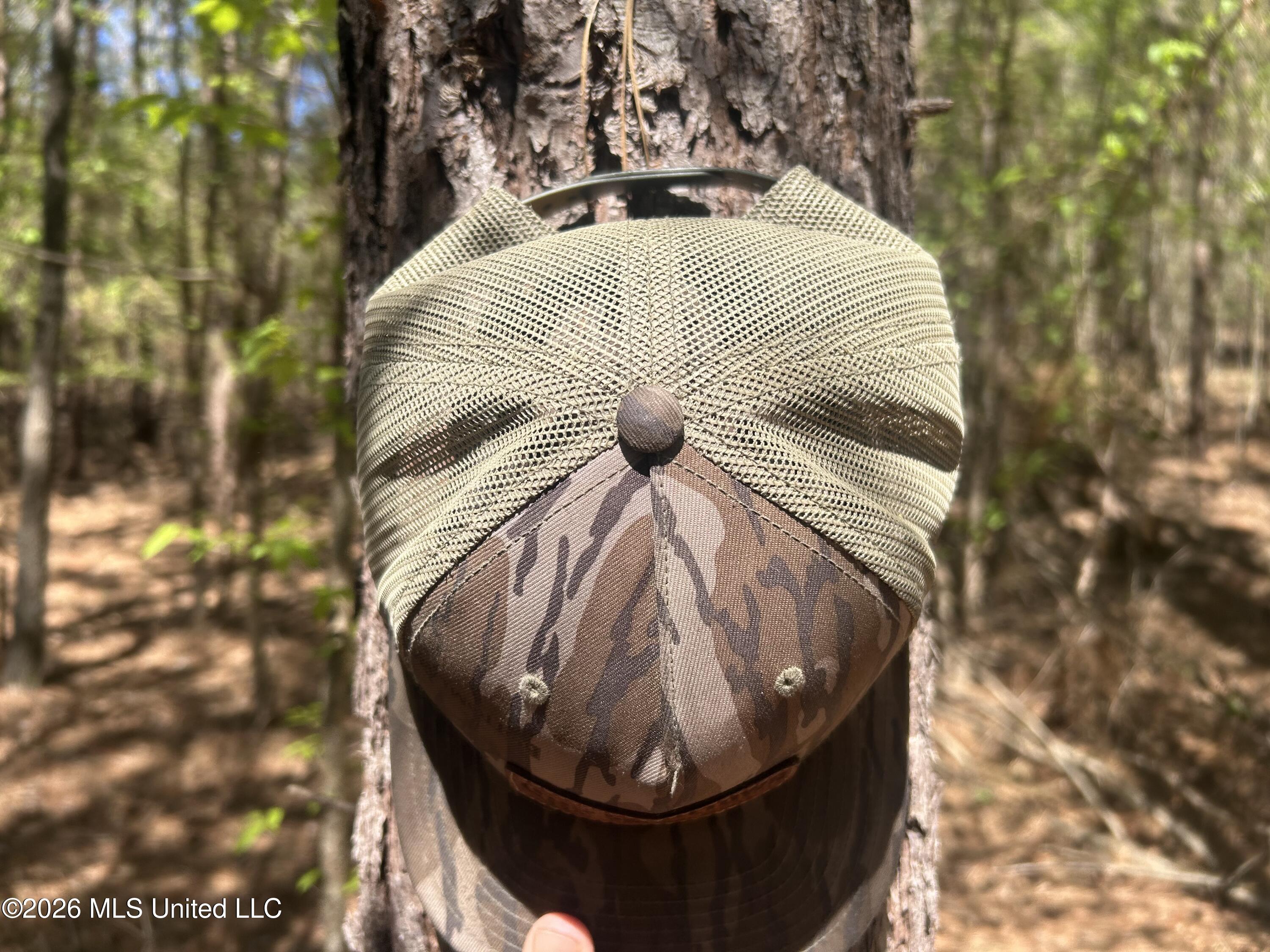 41 Mississippi Pontotoc, MS 38863 - Photo 20 of 47 Photo Mar 23 2026, 11 52 40 AM